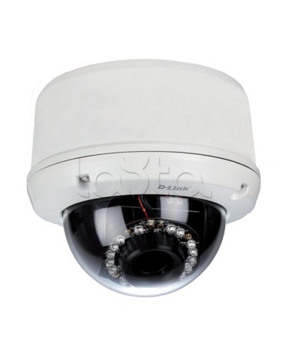 IP-камера видеонаблюдения уличная купольная D-Link DCS-6510/EP в Казани IP-камеры Pintop.ru